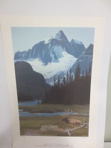 Lot #36 (1 of 3)