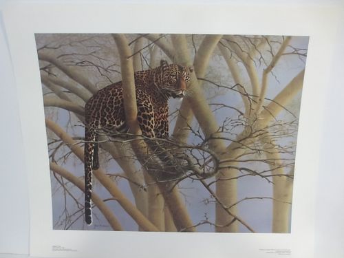 Lot #60 (1 of 3)