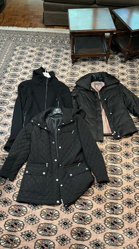 Lot #94 (1 of 13)