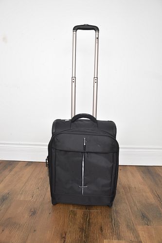 Lot #261 (1 of 9)