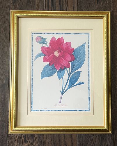 Lot #54 (1 of 6)