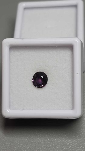 Lot #5 (1 of 14)
