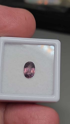 Lot #28 (1 of 11)