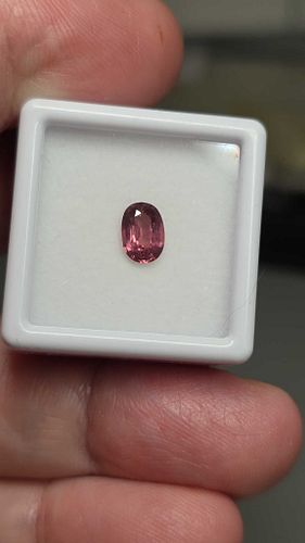 Lot #38 (1 of 7)