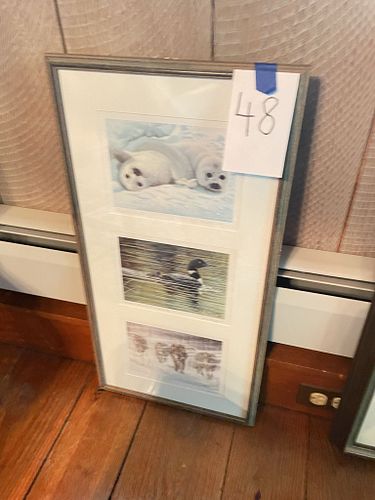 Lot #48 (1 of 8)