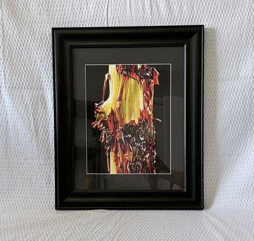 Lot #14 (1 of 4)