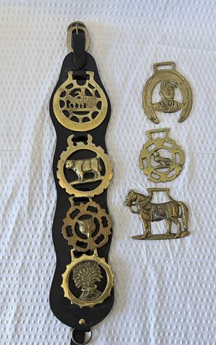 Lot #49 (1 of 3)