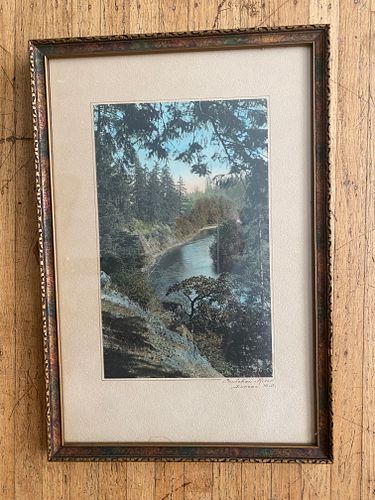 Lot #20 (1 of 2)