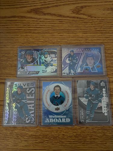Lot #1 (1 of 3)