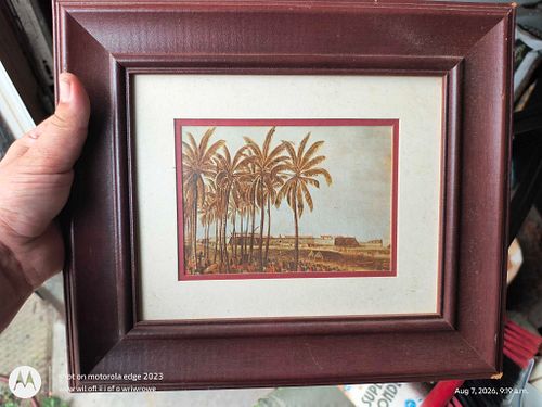Lot #46 (1 of 3)