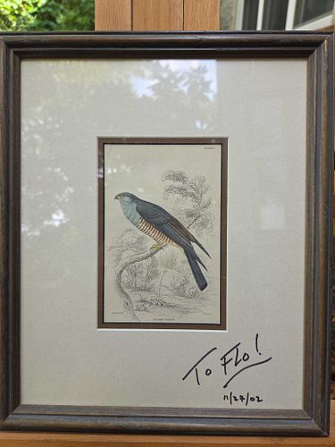 Lot #13 (1 of 6)