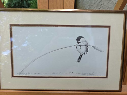 Lot #16 (1 of 5)