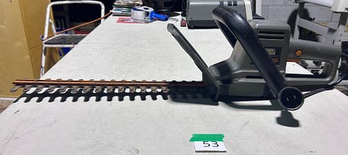 Lot #53 (1 of 2)
