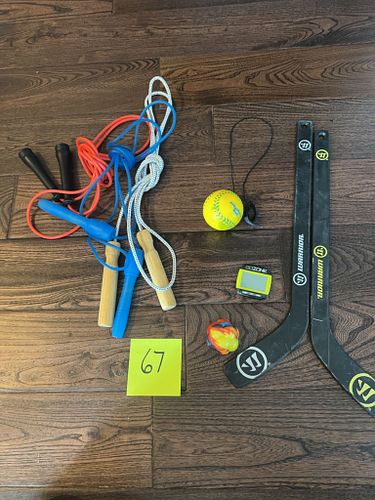 Lot #69 (1 of 5)