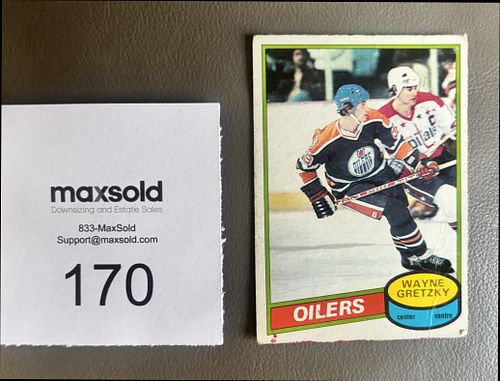 Lot #170 (1 of 2)