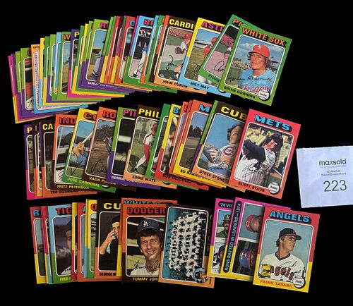Lot #223 (1 of 3)