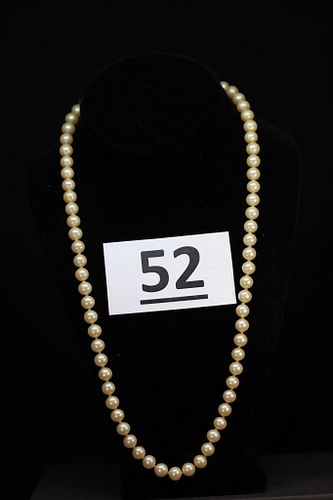 Lot #52 (1 of 7)