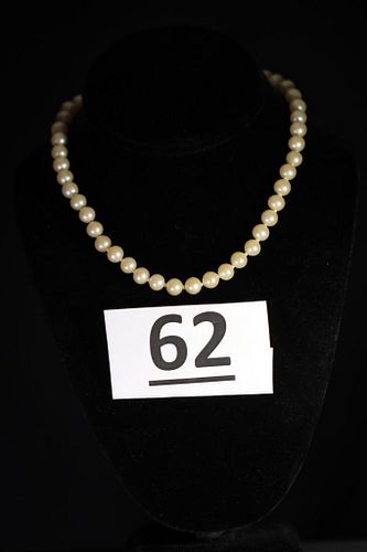 Lot #62 (1 of 8)