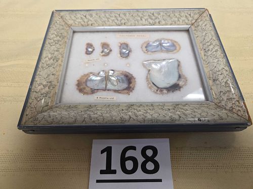Lot #168 (1 of 5)