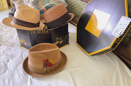 Lot #118 (1 of 14)
