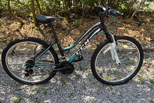 Lot #46 (1 of 10)
