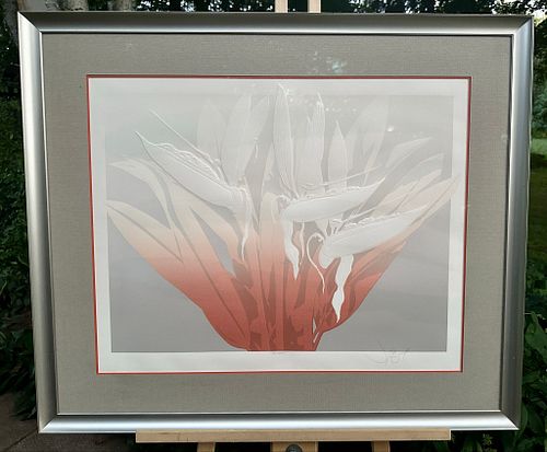 Lot #62 (1 of 15)
