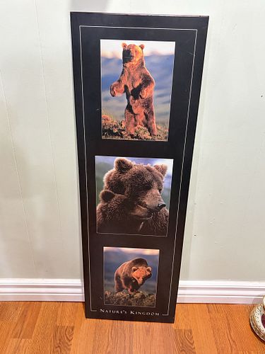 Lot #18 (1 of 7)