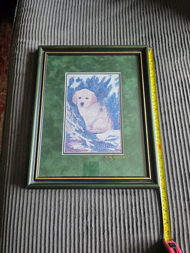 Lot #20 (1 of 5)