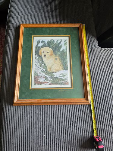 Lot #28 (1 of 6)