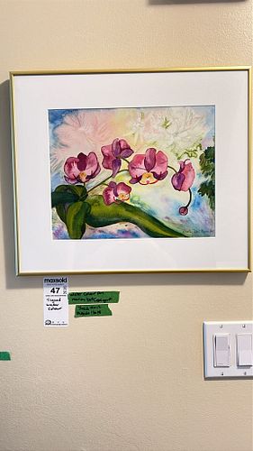 Lot #47 (1 of 7)