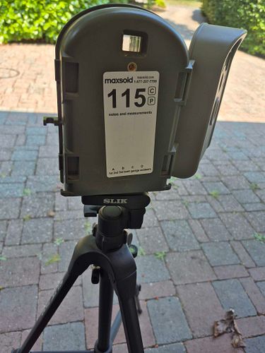 Lot #115 (1 of 11)