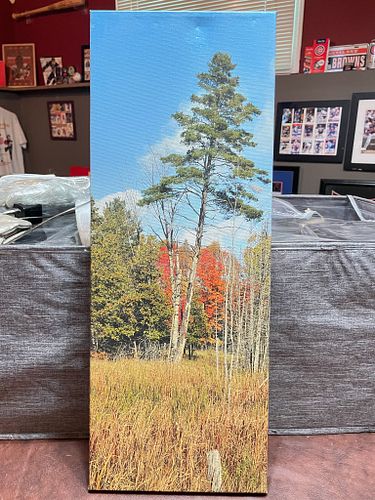 Lot #26 (1 of 4)