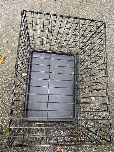 Lot #72 (1 of 3)