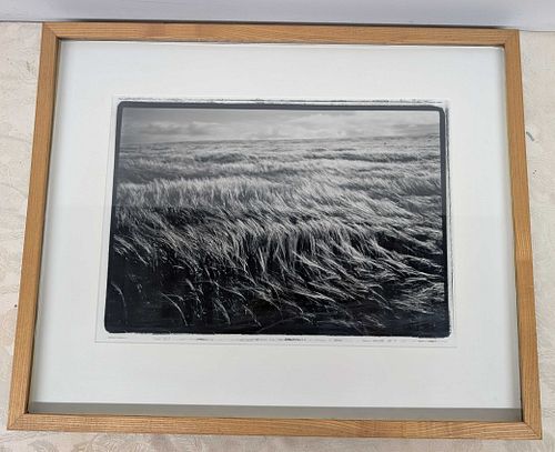 Lot #40 (1 of 7)