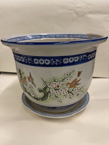 Lot #18 (1 of 7)