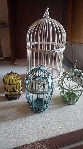 Lot #71 (1 of 6)