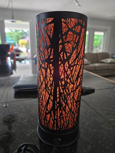 Lot #35 (1 of 6)