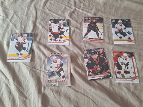 Lot #55 (1 of 8)