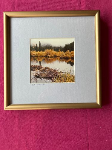 Lot #109 (1 of 3)