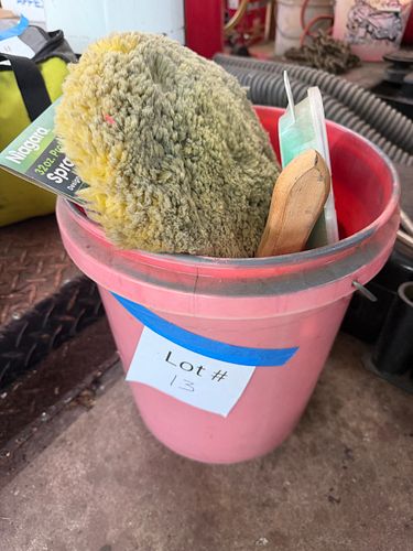 Lot #13 (1 of 3)