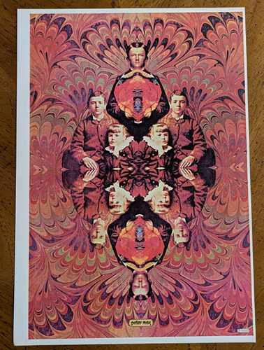 Lot #571 (1 of 3)