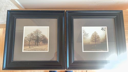 Lot #50 (1 of 10)