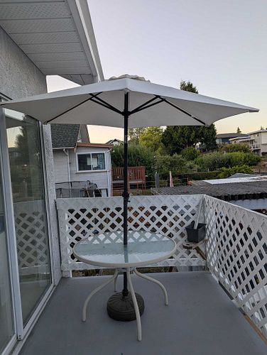 Lot #20 (1 of 6)
