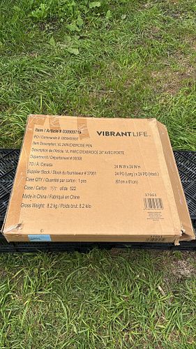 Lot #65 (1 of 6)