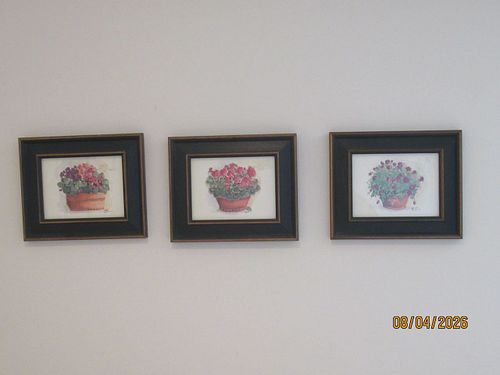 Lot #135 (1 of 8)