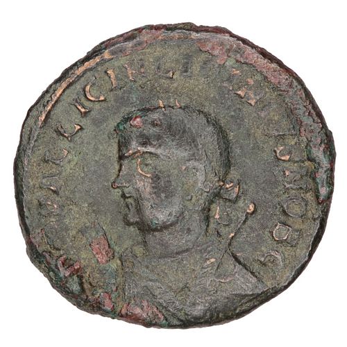 Lot #138 (1 of 2)