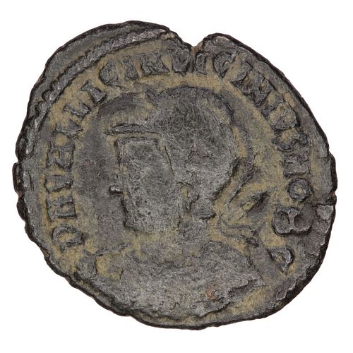 Lot #263 (1 of 2)