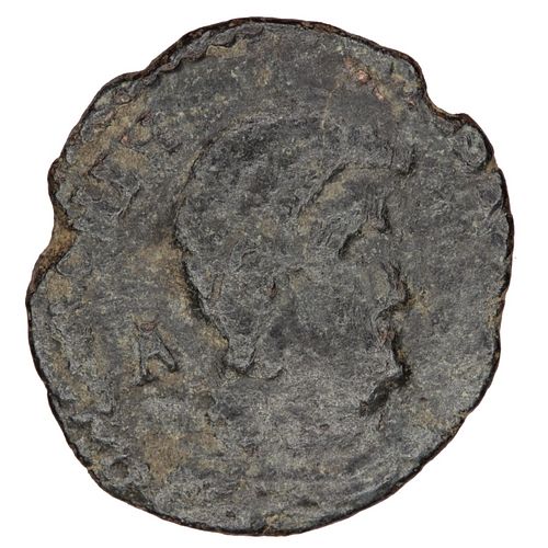 Lot #629 (1 of 2)