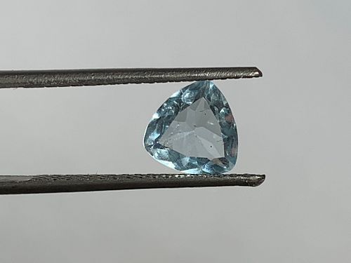 Lot #19 (1 of 5)