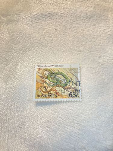 Lot #41 (1 of 15)